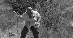 Signal Bleed: White Elephant Blogathon: 'The Beast of Yucca Flats' (1961)