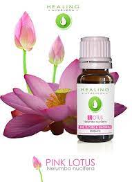 Pink Lotus 100 Pure Lotus Flower Essential Oil Nelumbo Etsy Healing Oils Essential Oils 100 Essential Oils
