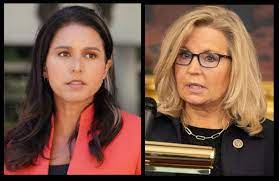 Chad Blair: Liz Cheney, Tulsi Gabbard And The Future Of America - Honolulu Civil Beat