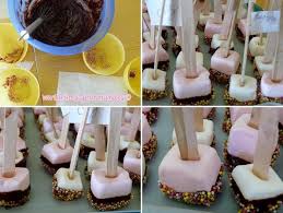 Variations Gourmandes Sucettes De Chamallows Au Chocolat By Lisa En 2020 Sucettes En Guimauve Sucette Chocolat