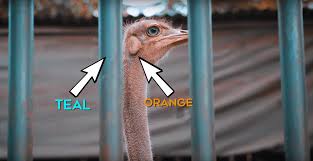 Maybe you would like to learn more about one of these? The Reasons Why Orange And Teal Look Is So Popular In Movies Diy Photography