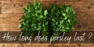 Fill a large bowl with ice and cold water. How Long Does Parsley Last Here S What You Need To Know Foodiosity