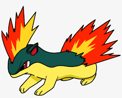Quilava Os Cyndaquil Evolution Chart Png Image