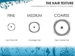 Hair texture refers to the degree of thickness of each actual hair strand. Hairbystephmn Home Facebook
