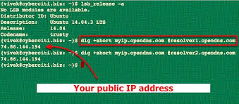How To Find My Public Ip Address From Command Line On A Linux Nixcraft Ip Address Linux How To Find Out