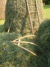 Making A Haystack