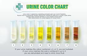 7 Signs You Re Eating Too Much Salt Ate Too Much Too Much Sodium Color Of Urine