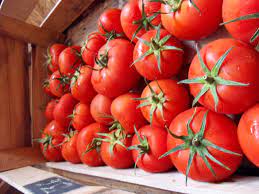 Organic Tomatoes At Flor De Calabaza Market Ensenada Baja California Organic Tomatoes Tomato Vegetables