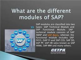 What Is Sap And Why Is Sap Certification Necessary In 2020 Course Syllabus Sap Syllabus