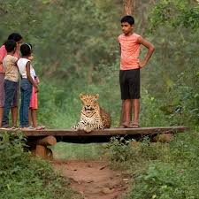 Sanjay Gandhi National Park: Mumbai's ...