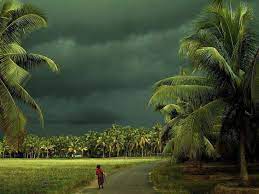 Its The Rainy Season Full Of Love Kerala Monsoon Amazing India