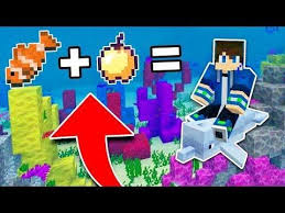 How To Ride Dolphins In Minecraft Tutorial Pocket Edition Xbox Pc Minecraft Tutorial Minecraft Minecraft Creations