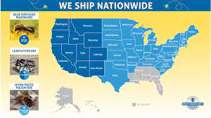 Bee Rental Program Brings Together Gardeners and Farmers to Make More Food  & Help Bee Populations