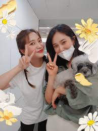 Yeri Pics On Twitter Yeri X Yuri X Nayeon Ourstaryeri It's the fans that gotta stop fighting and comparing 'cuz in reality. twitter