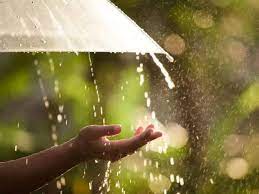 Aug 08, 2021 · the rains have stopped and the skies have cleared, but the city may not have long to recover before the next storm hits. Monsoon Bounces Back With 45 More Rains Cheers Up Oilseed And Coarse Grain Farmers The Economic Times