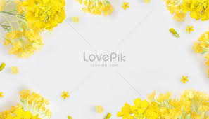 Shallow focus photo of red flowers. Simple Flower Wallpaper Creative Image Picture Free Download 401017199 Lovepik Com