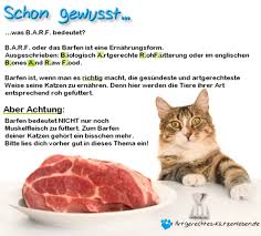 Darf Mein Kater Lachs Essen Gesundheit Und Medizin Katze Katzen