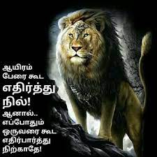 Tamil motivational quotes, tamil love quotes, holy quotes, life quotes, golden quotes, feelings words, practical life, islamic quotes, quran. 98 Tamil Quotes Ideas Tamil Motivational Quotes Tamil Love Quotes Photo Album Quote