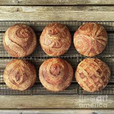 Six Wheat And Rye Sourdough Boules 2 By Amy E Fraser Artisan Bread Sourdough Bread Art