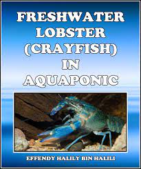 Lets Farm Lobsters At Home Aquaponics Ebook