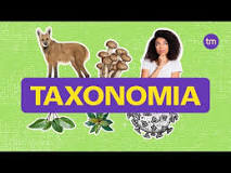 O que é taxonomia e como é feita a classificação biológica ...