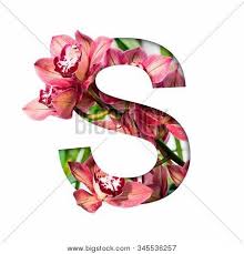 See more ideas about flower painting, flowers, flower art. Flower Font Letter S Image Photo Free Trial Bigstock