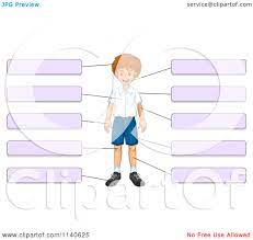 Equine conformation evaluates the degree of correctness of a. Cartoon Of A Boy With Blank Labels For Body Parts 3 Royalty Free Vector Clipart By Graphics Rf 1140625