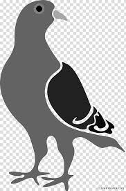 Background, logo, racing, race, stripes, stripe png clipart. Pigeons And Doves Racing Homer Google Pigeon Google Penguin Bird 1774 Intolerable Act Transparent Background Png Clipart Hiclipart