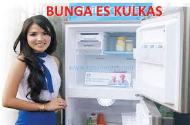Bunga Es Di Kulkas Tptumetro