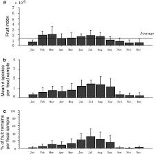 Image result for Globimetula kivuensis