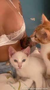 Gato lambendo o peito da pipokinha