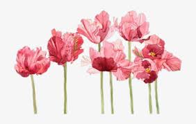 Discover 3665 free aesthetic png images with transparent backgrounds. Aesthetic Flowers And Overlay Image Flowers Watercolour Png Image Transparent Png Free Download On Seekpng