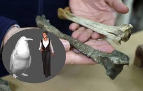 New us 3,800mph jet will fly from nyc to london in an hour with 50 passengers. New Zealand Scientists Discover Fossilized Bones Of Human Sized Monster Penguin