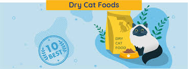 No grains, glutens, plant proteins or unnecessary the 6 reviewed dry foods scored on average 7.3 / 10 paws, making young again a significantly above average dry cat food brand when compared. 10 Best Dry Cat Foods Of 2021 Unbiased Review We Re All About Cats