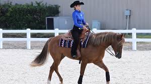 No. 4 SMU Set For No. 5 Baylor