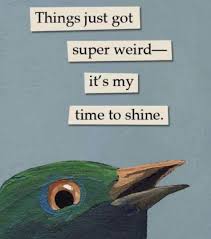 Birds Of A Feather Lyrics Pin By Raetta Futch On Security Memes Awkward Funny Bird Quotes Funny