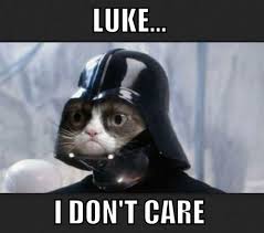 Image Result For Grumpy Cat Twinkle Twinkle Little Star Grumpy Cat Meme Grumpy Cat Grumpy Cat Humor