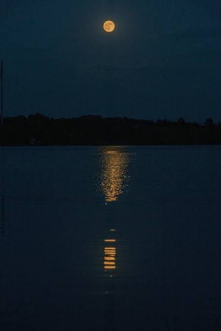 Full moon reflected on dark water at night photo – Free Green Image on  Unsplash