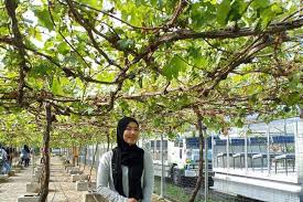 Check spelling or type a new query. Harga Tiket Taman Mardi Langkawi Utk 2021 Peta Ke Sini