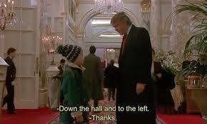 We've all seen the first home alone and now comes a sequel in the awesome home alone series. Chinese Netizens Respond To Us Movie Fans Call To Remove Donald Trump From Home Alone 2 Global Times