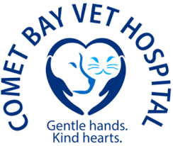 Maybe you would like to learn more about one of these? Veterinary Hospital Affordable Pet Vet Clinic Vet Surgery Near Me