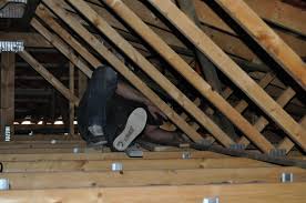 Jour 101 198 Que Se Passe T Il Aujourd Hui La Maison En Bois De Nico Stef