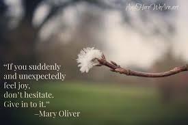 Pin By Patti Martin Lilybear Gift S On Signs And Jars Mary Oliver Mary Oliver Quotes Words