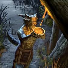 Pin By Frore Lothbrok On Skyrim Elder Scrolls Art Elder Scrolls Races Skyrim Art
