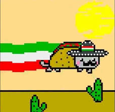 Marketingtracer seo dashboard, created for webmasters and agencies. Nyan Cat Taco Gifs Tenor