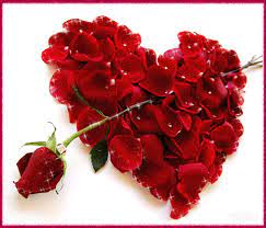 Un bellissimo mazzo di cento rose rosse qualità extra. Gif Con Rose Mazzi Bellissimi Di Colori Diversi 60 Immagini Animate