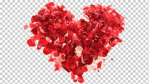 Polish your personal project or design with these valentines day transparent png images, make it even more personalized and more attractive. Dia Dos Namorados Love Valentine S Day Flower Bouquet Camila Valentine S Day Png Klipartz