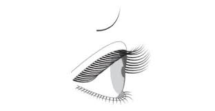 Lash Chart Jc Luxury Lashes