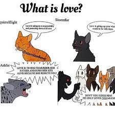 • • • bernie memes are so last week. Image Result For Warrior Cats Memes Warrior Cat Memes Cat Memes Clean Cat Memes