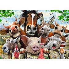 Check spelling or type a new query. Buy Animal Jigsaw Puzzles 1000 Piece Puzzles Jigsaw Puzzles For Adults And Kids Educational Intellectual Decompressing Puzzle Game Animal Horse Online In Indonesia B08tbkqyfb